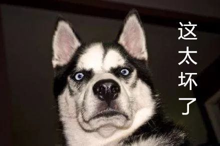 狂犬病致死率为什么几乎是100%,狂犬病致死率真的100%吗