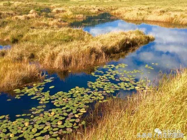 这个被誉为中国10大古镇之首的小镇，到底美在哪里？