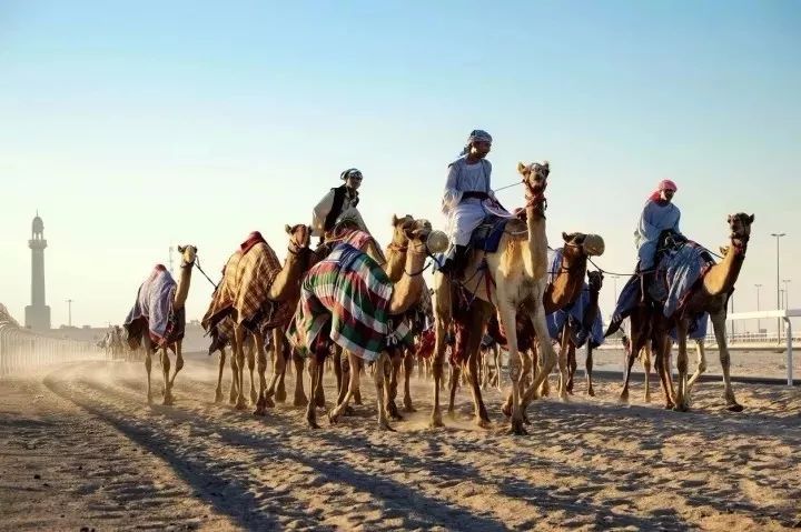 卡塔尔对中国免签,2018卡塔尔对中国免签