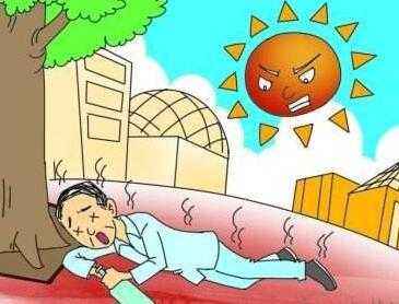 夏天健脾祛湿用什么泡水喝,祛湿滋阴降火的茶饮有哪些