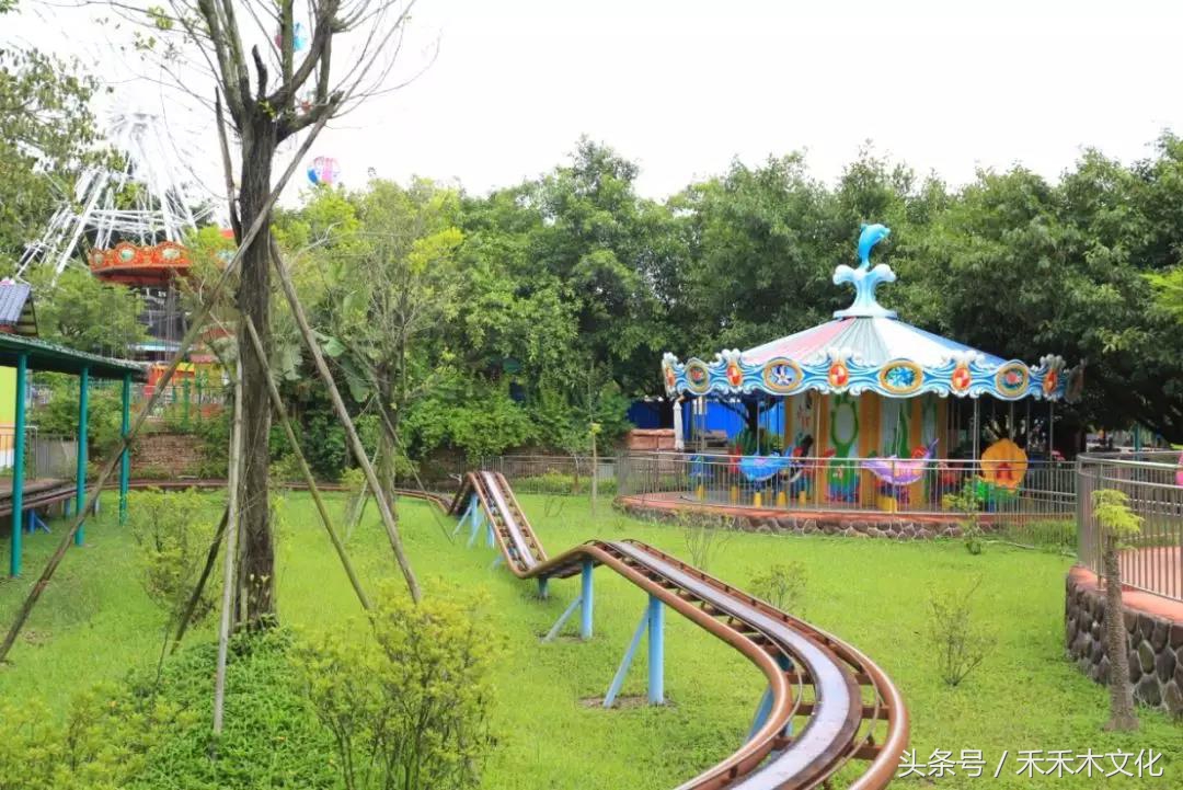 黄可乐发现一个秘密花海基地,让所有的小朋友都带爸爸妈妈来