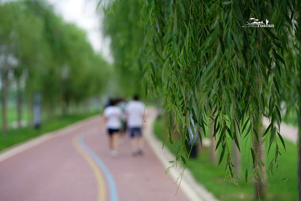 陕西除了黄土高坡,更有临渭迷人的青山绿水