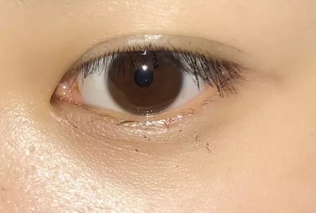 8款热门睫毛膏专业测评，Angelababy最爱的睫毛膏居然垫底了！