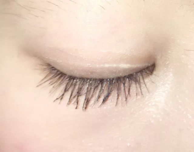 8款热门睫毛膏专业测评，Angelababy最爱的睫毛膏居然垫底了！