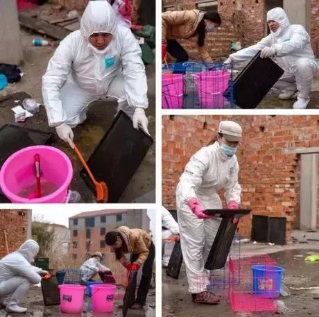 我不能怂歌曲,我不能怂攻略