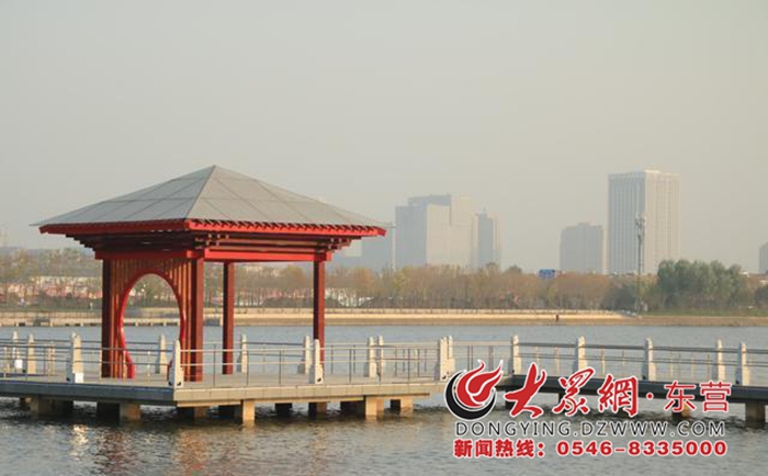 东营东城众成秋月华庭二手房,众成秋月华庭一期鸟瞰图