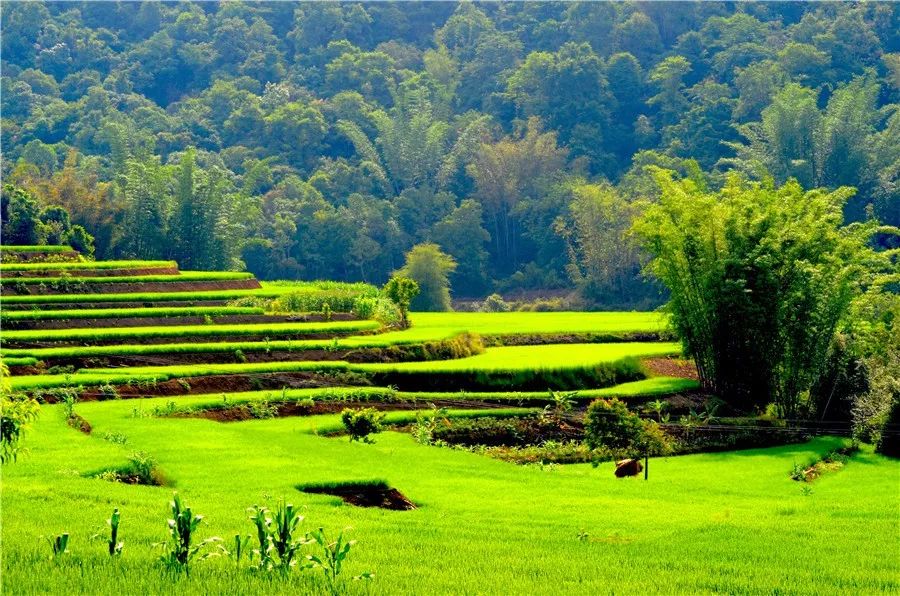 普洱孟连有什么好玩的地方,云南普洱孟连旅游景点攻略