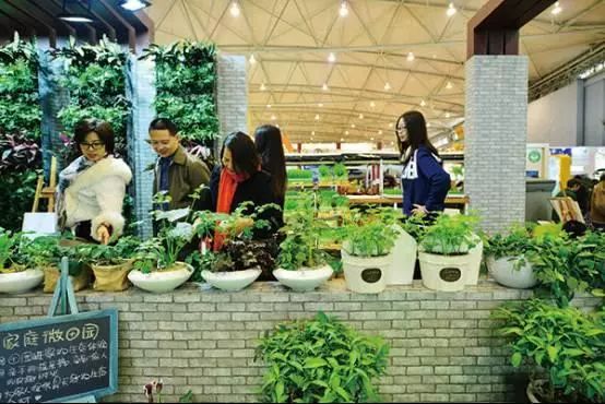 农旅项目盈利模式,农旅创业项目