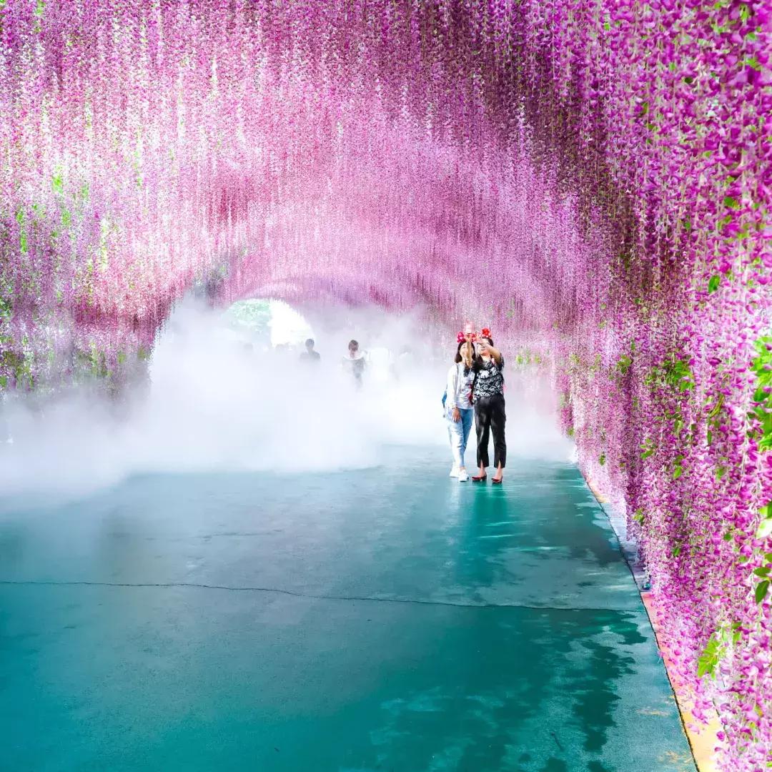 芜湖方特抖音活动,抖音方特