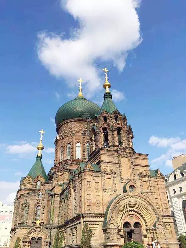 专列开向正北方，健康老人相聚呼伦贝尔草原，河南多地均可上下客