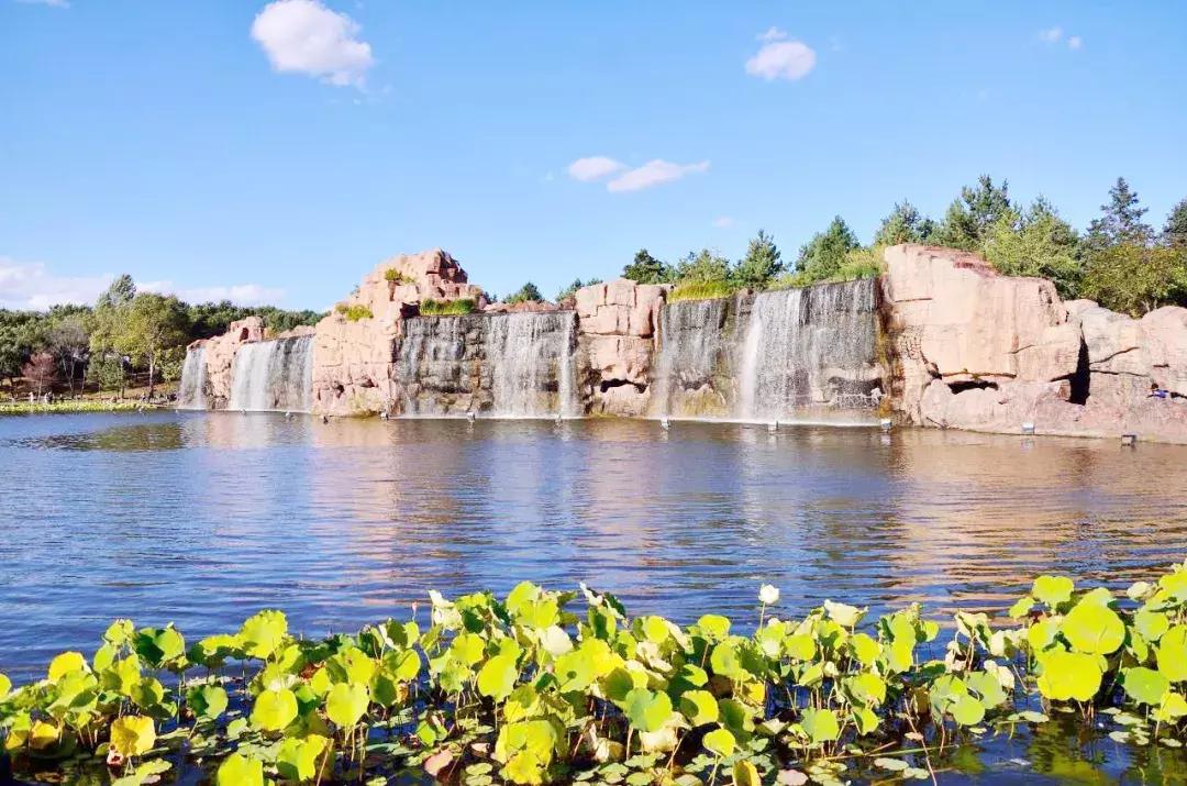 专列开向正北方，健康老人相聚呼伦贝尔草原，河南多地均可上下客