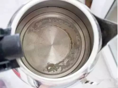 鸡蛋壳别扔掉,鸡蛋壳不要扔了太可惜了用来种菜