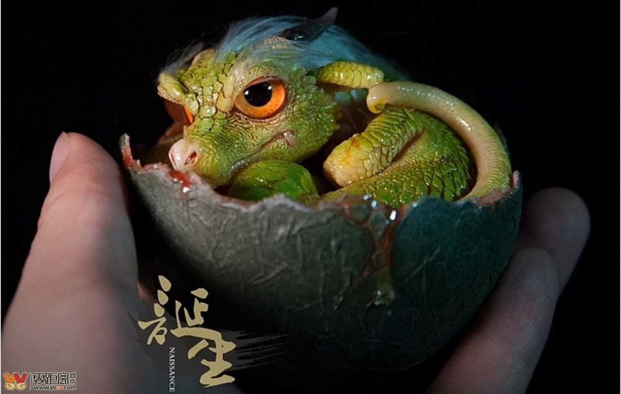 宜宾传奇80后电视台的工作不要去自己开工作室，终成模玩第一人！