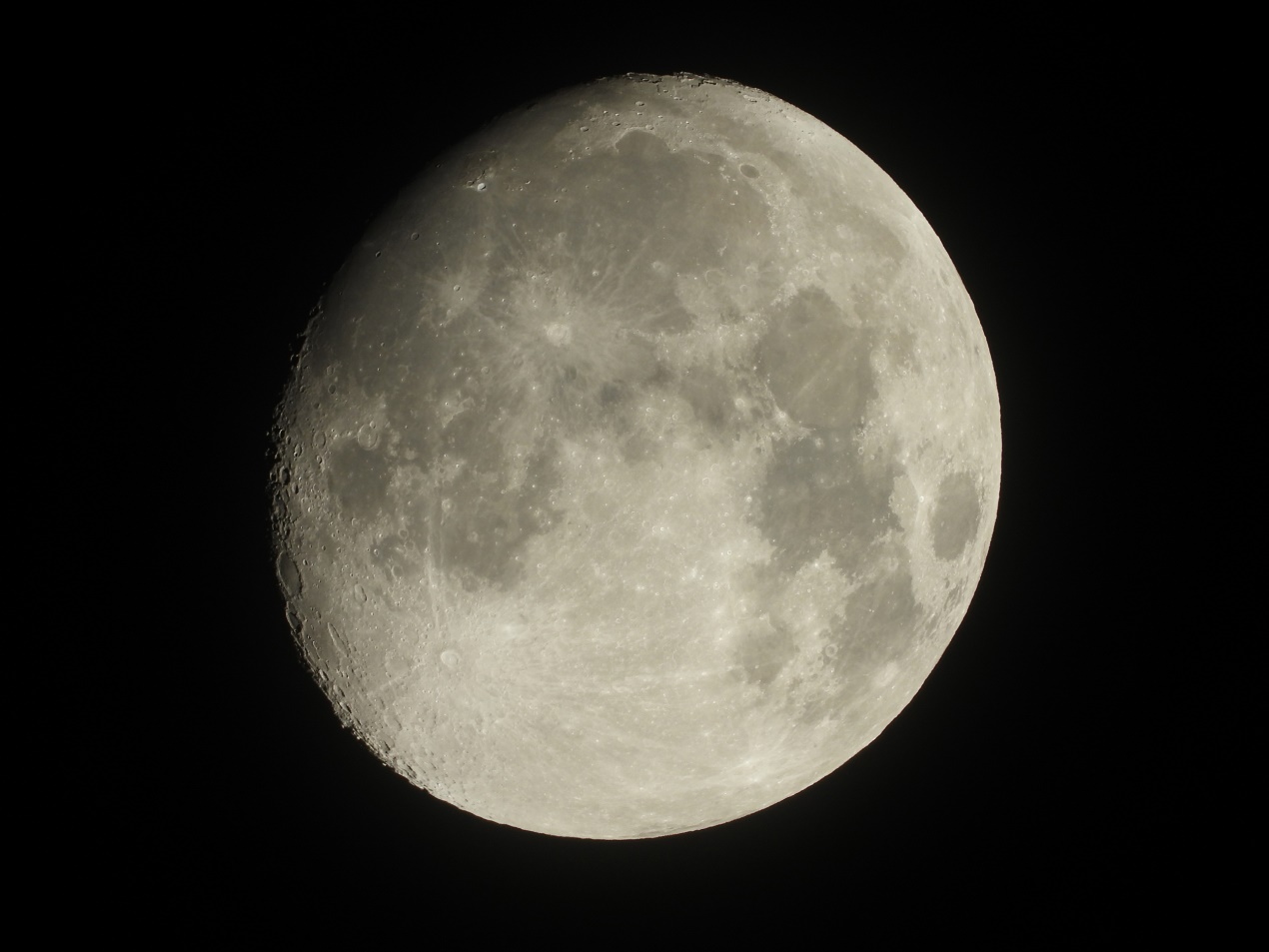 尼康p1000对比单反相机,教练我也想打球的图片