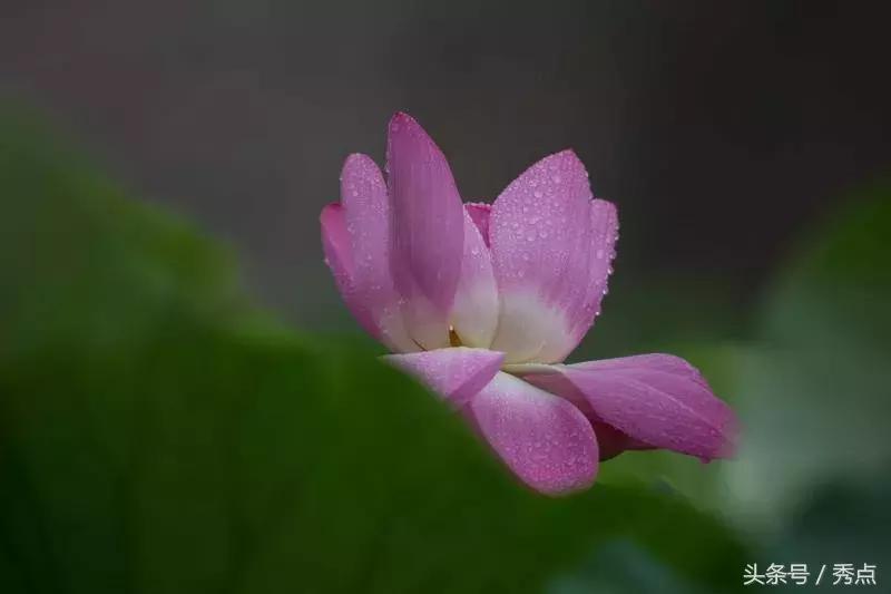 铜川清凉玩水的地方,铜川夏日美景