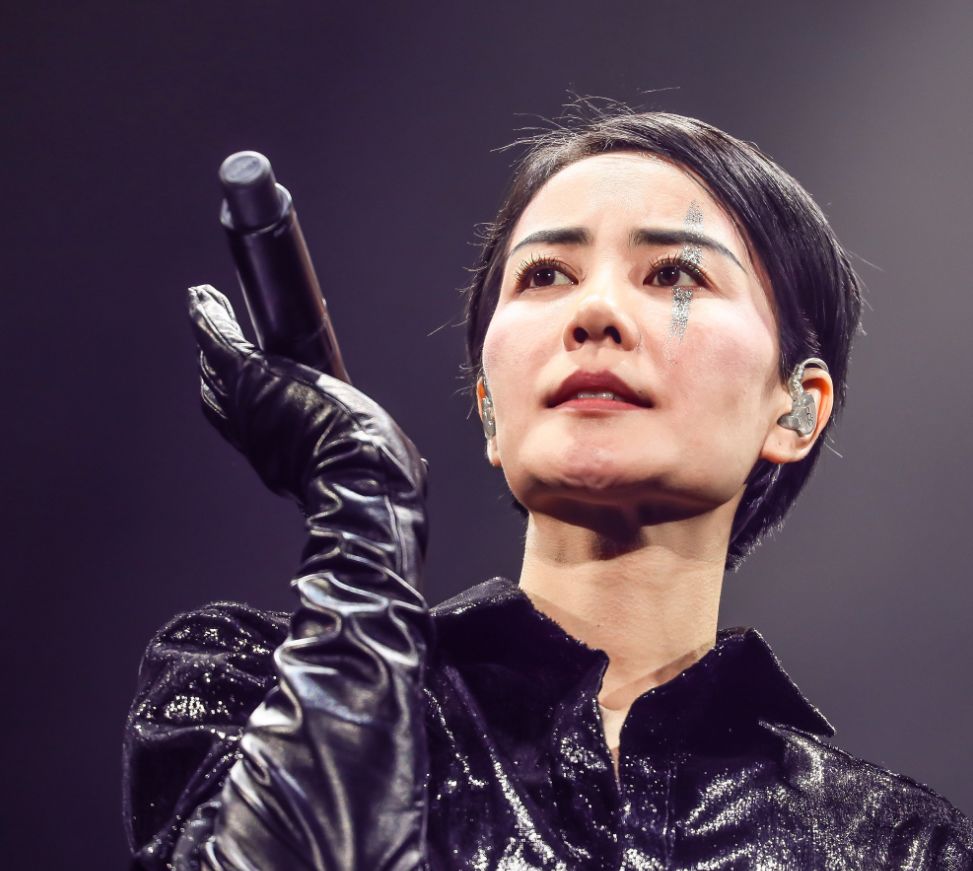 石榴粉别狂！王菲爱你24年而已