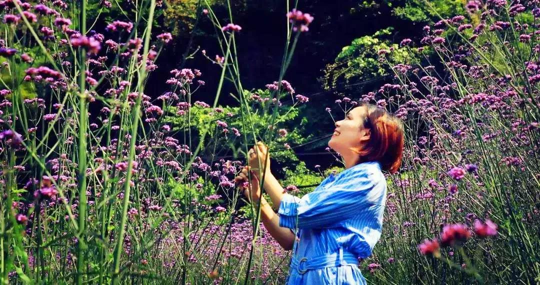 藏不住了重庆这个小城太美了,藏不住了四川话