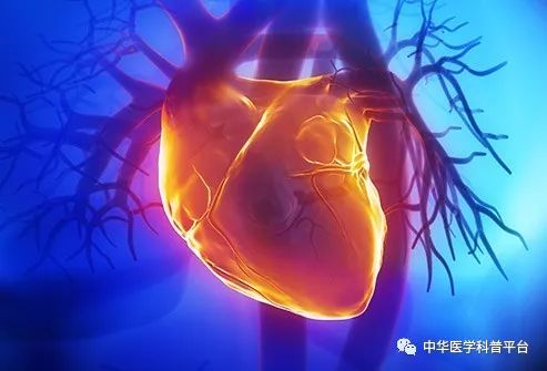 高血压停药的危害,高血压带来的危害有哪些