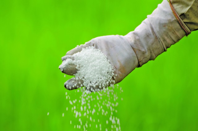 战争给世界带来的发明,麦当劳的薯条首当其冲