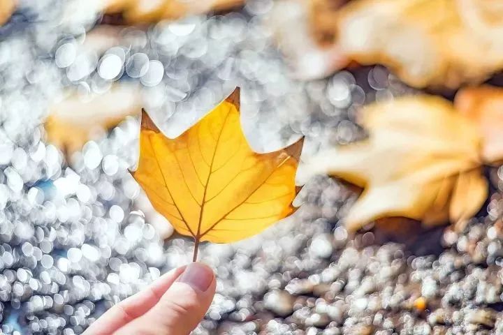 习*平近**总书记带火的那些诗词