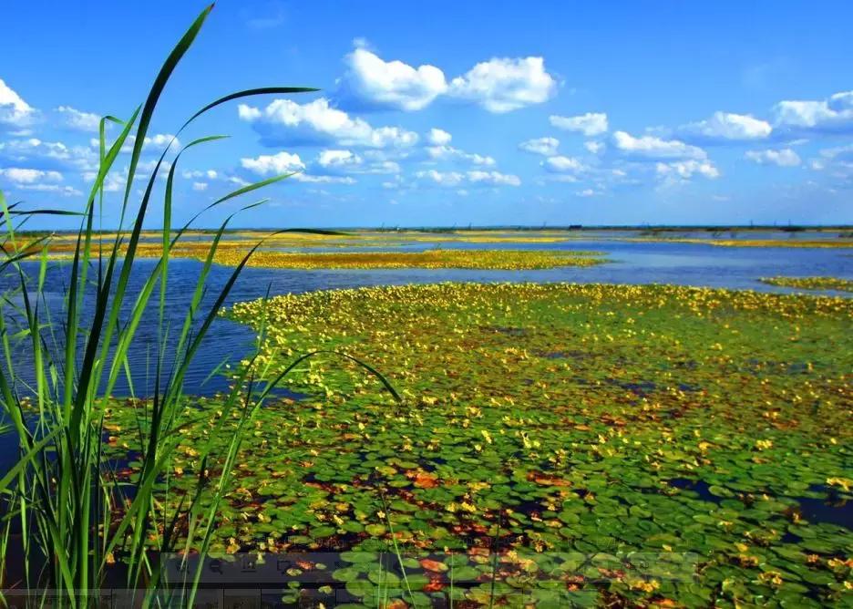 哈尔滨之夏游玩攻略,迷人的哈尔滨之夏音乐会