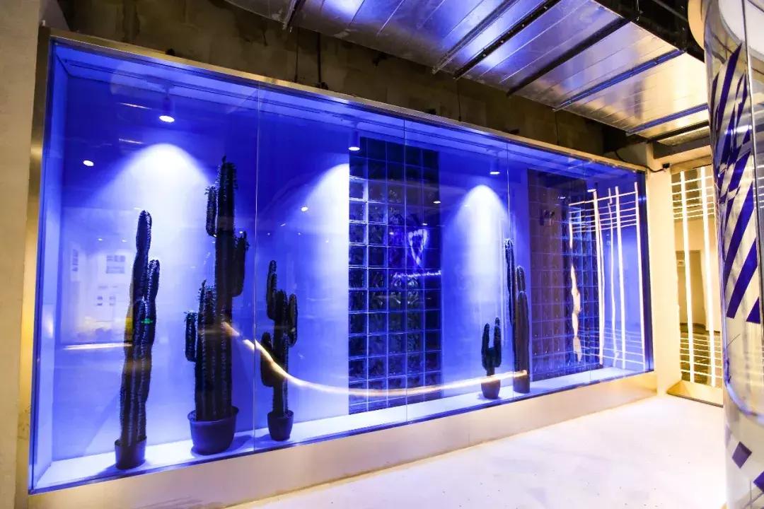 最好的青旅推荐,全国青旅最好的是哪家