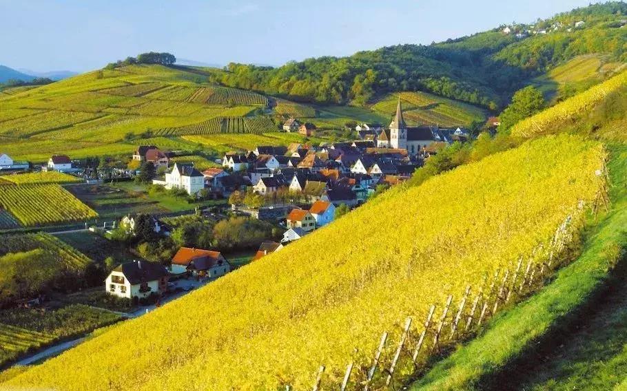 grandcruclass红酒,grandcru是什么红酒