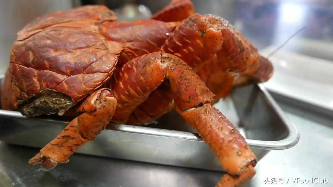 日本冲绳海鲜椰子蟹,日本海鲜椰子蟹视频
