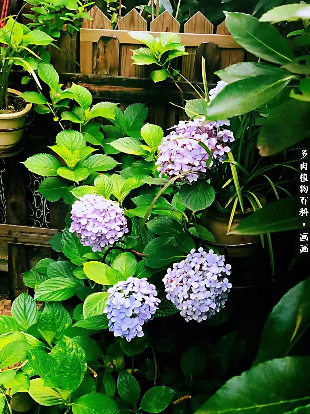 鍒氬ソ閬囪浣犵編濂虫埛澶栫増,鍒氬ソ閬囪澶氳倝