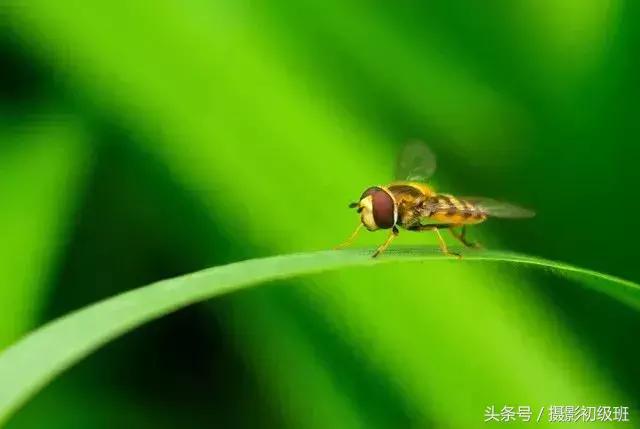 10个摄影练习技巧,10个提高摄影构图技巧