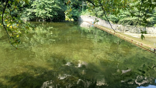 高冠瀑布风景,高冠瀑布游记