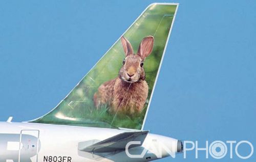 最美飞机涂装设计,罕见飞机涂装设计图片大全