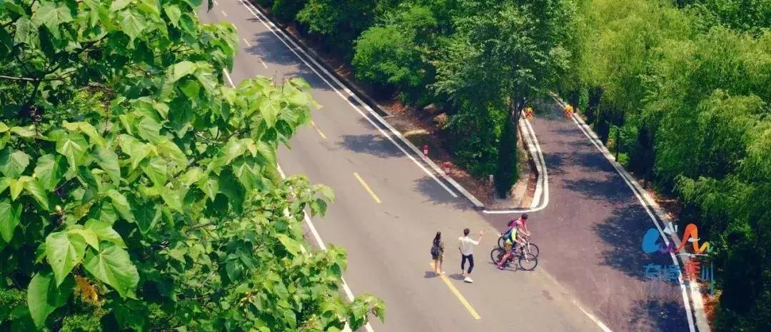 河南哪个景区高速免费,河南哪些景区高速免费