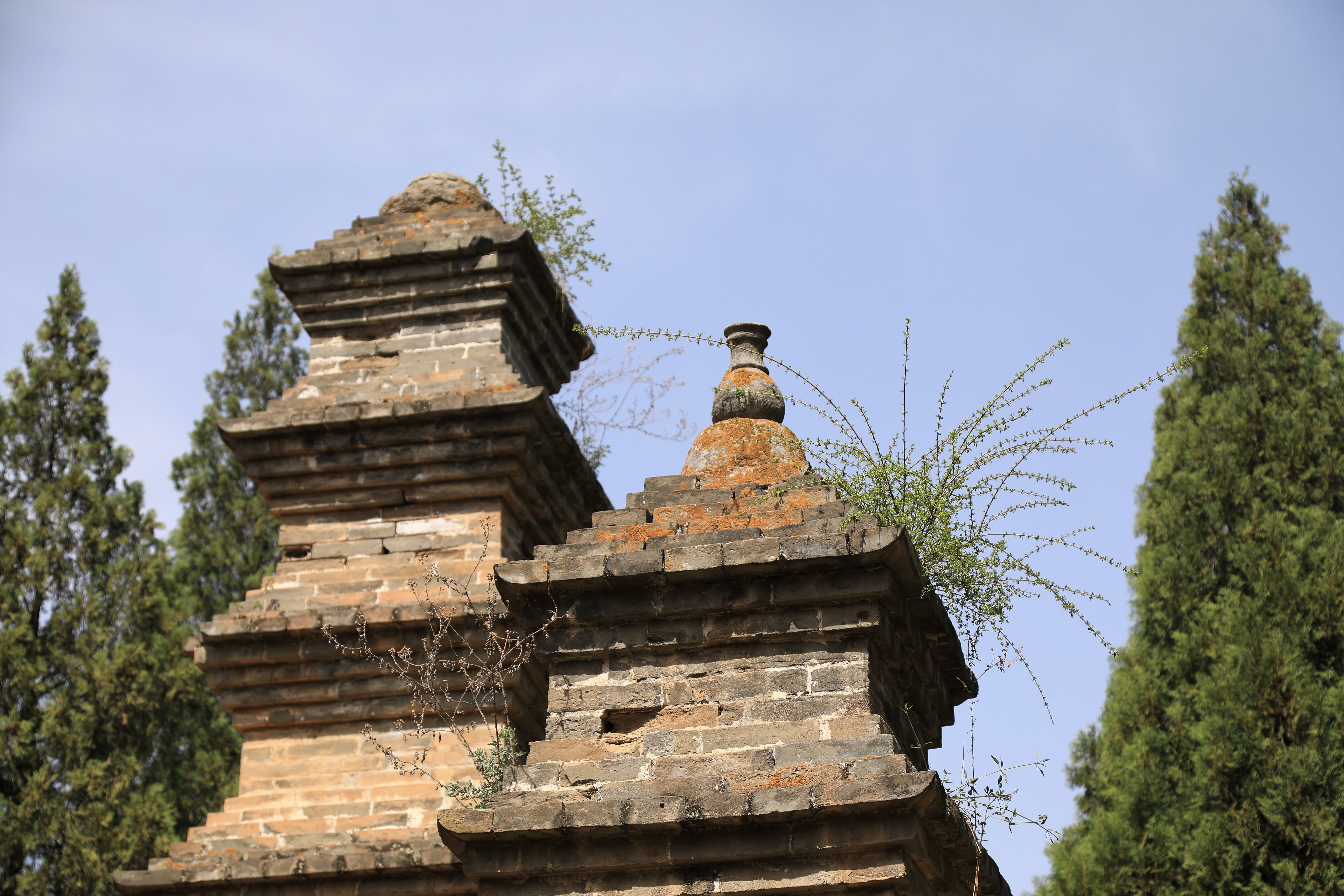 哪些地方有塔林,什么是塔林
