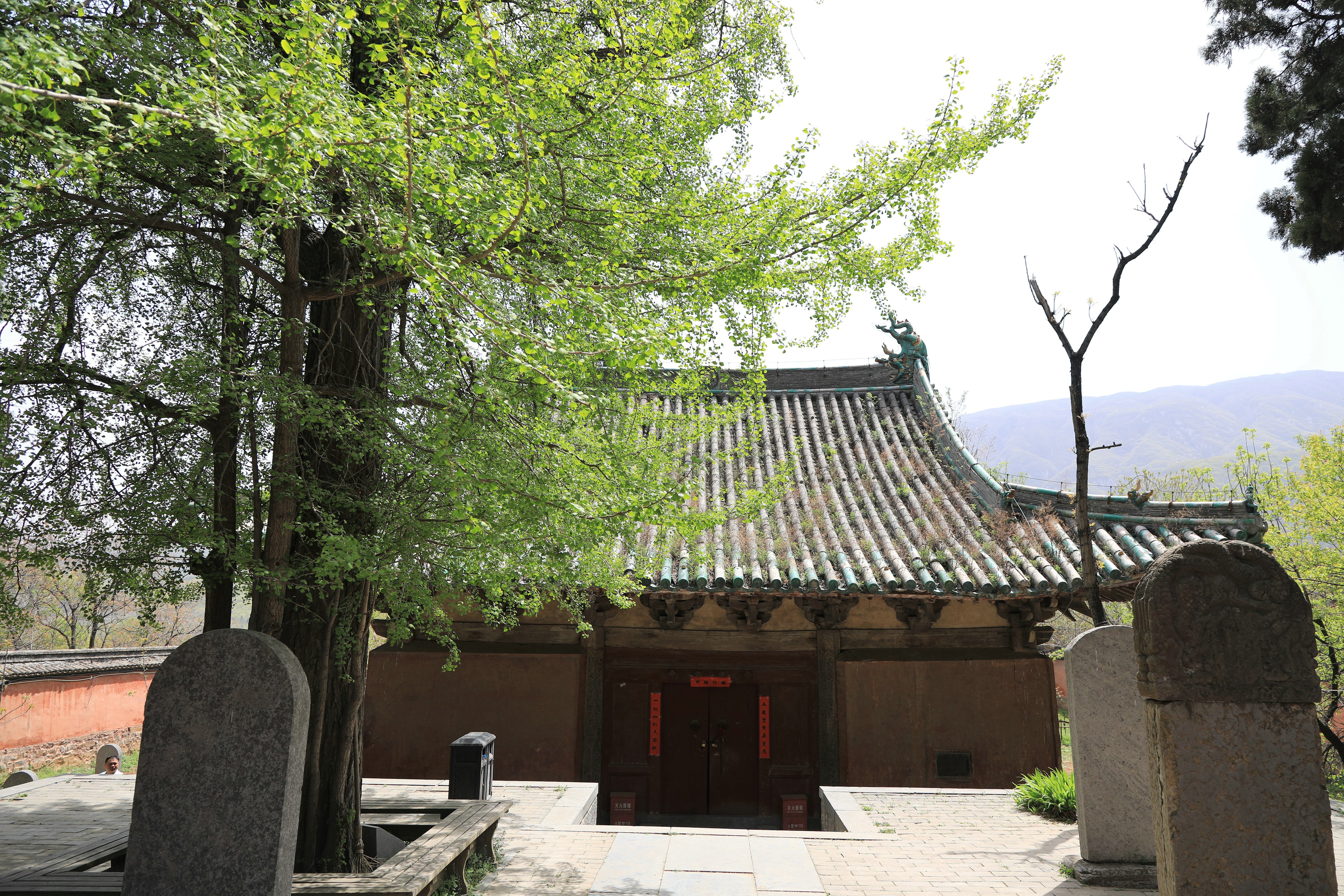 哪些地方有塔林,什么是塔林