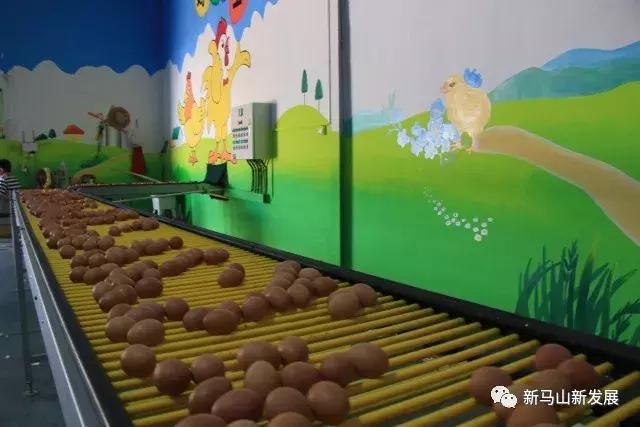 全省最大的蛋鸡文化休闲公园——长清普瑞“凤凰部落”即将面世