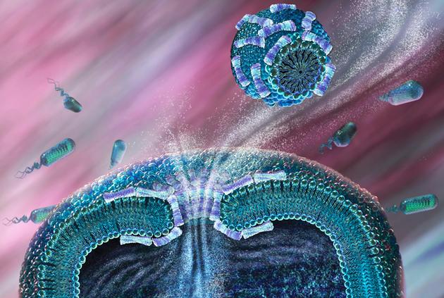 人类与细菌的较量抗生素,人类和细菌斗争了多久