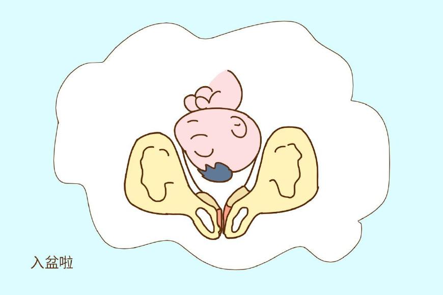 怎么判断自己的胎儿入盆了?就看这3点,别还晕乎乎不知道