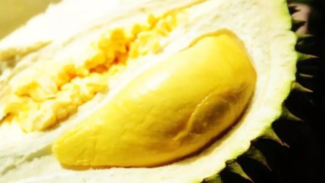 榴莲千万别错过好吃到停不下来,榴莲和桑葚可以混吃吗