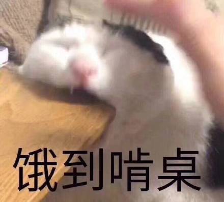 又困又饿的表情包,饿饿饿表情包