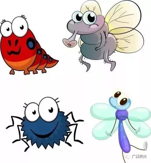 广西虫咬伤人,广西腿被虫咬伤