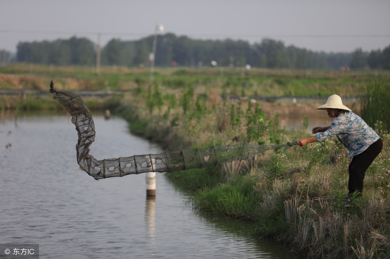 小龙虾餐饮加盟店进货渠道有哪些