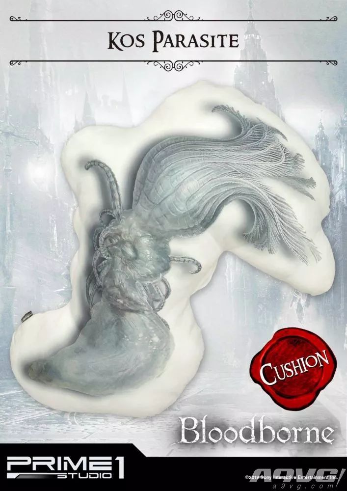 血源诅咒全支线,血源诅咒漆黑一套在哪里