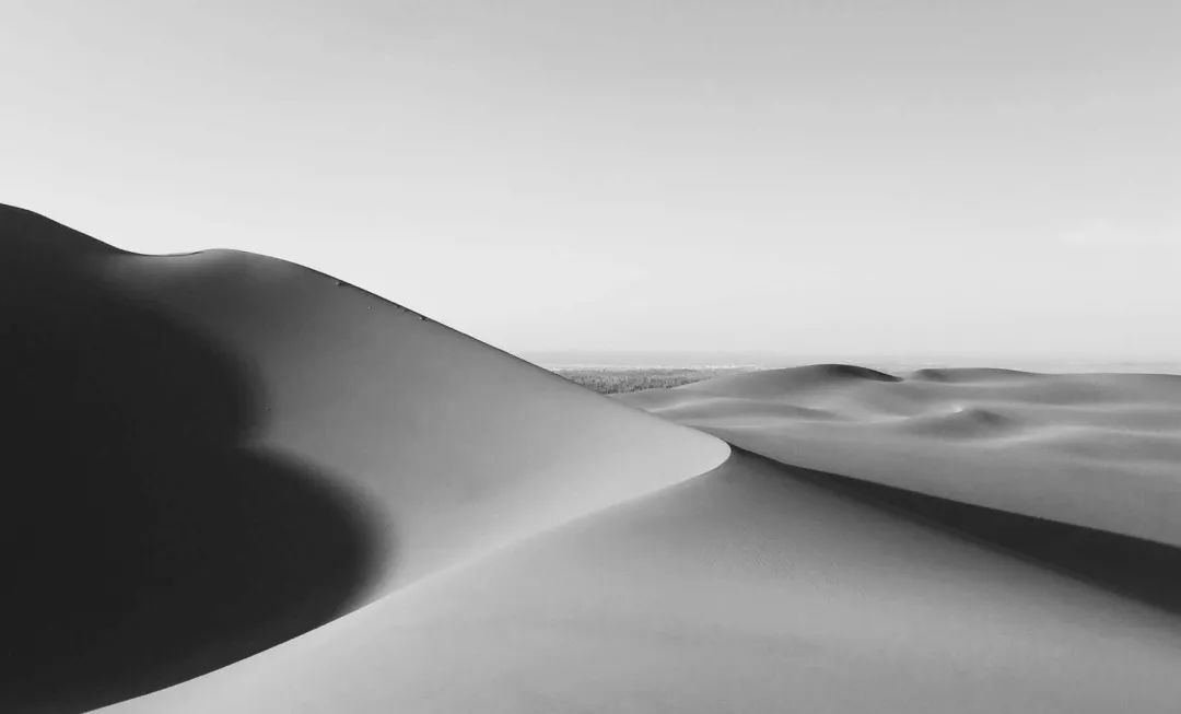 零基础摄影学习培训,全面技能提升训练营