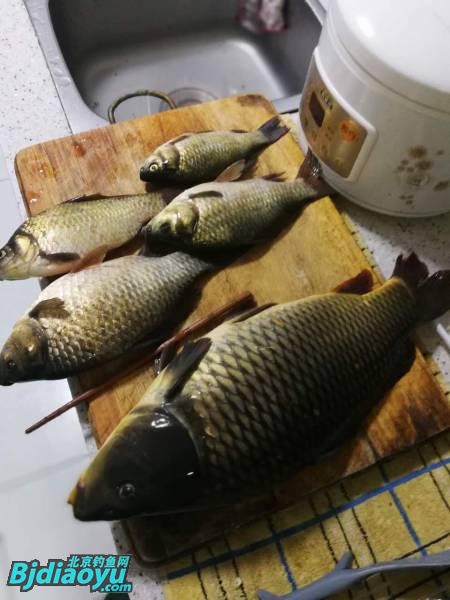 钓鱼也要讲究生活必须惬意,钓鱼需要保持哪些心态