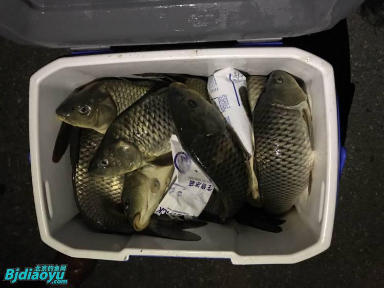 钓鱼也要讲究生活必须惬意,钓鱼需要保持哪些心态