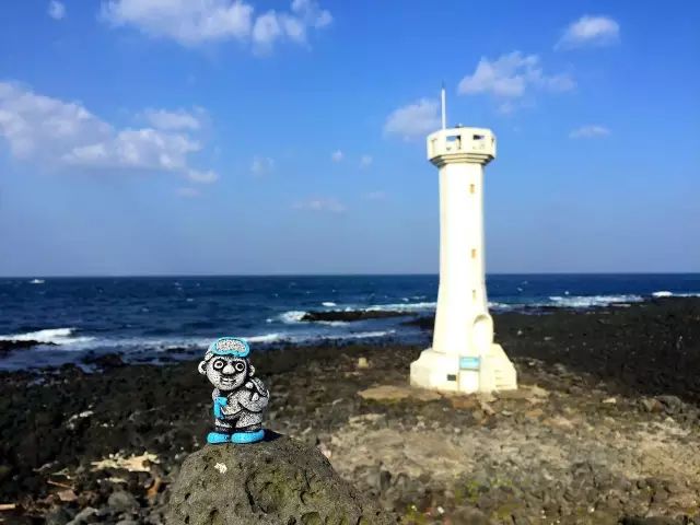 济州柑橘马拉松,济州岛柑橘马拉松