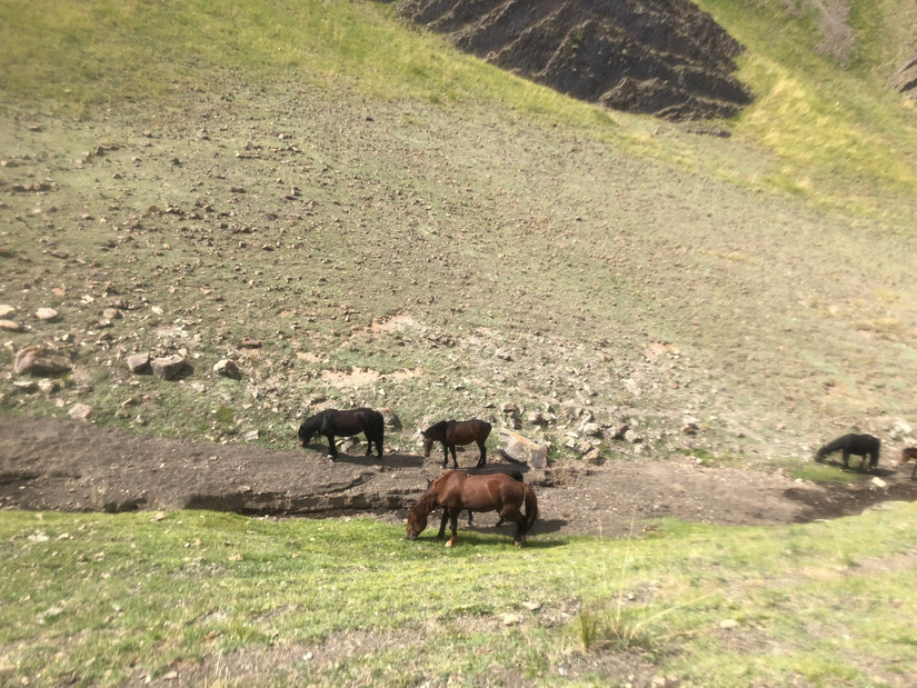 LOWA换军胶，任性博格达——记我跌宕起伏的博格达大环
