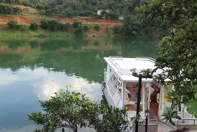 40岁大叔买下一座岛,大叔为钓鱼买下一座岛