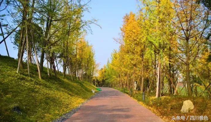 小众又免费！成都地铁直达的天然氧吧！清凉洗肺又解暑！